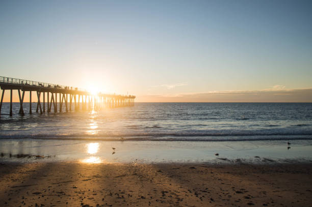 istock Hermosa Beach and pier at Sunset in winter 1081049322