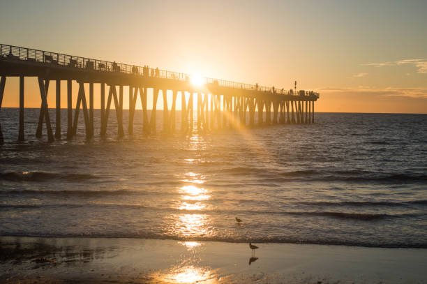 istock Hermosa Beach and pier at Sunset in winter 1081049334