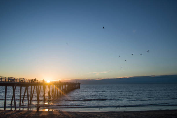 istock Hermosa Beach and pier at Sunset in winter 1081049390