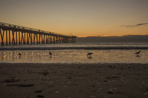 istock Hermosa Beach and pier at Sunset in winter 1081049574