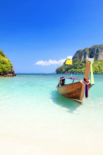 istock Long tail wooden boat stranded at Krabi island beach 1081049812