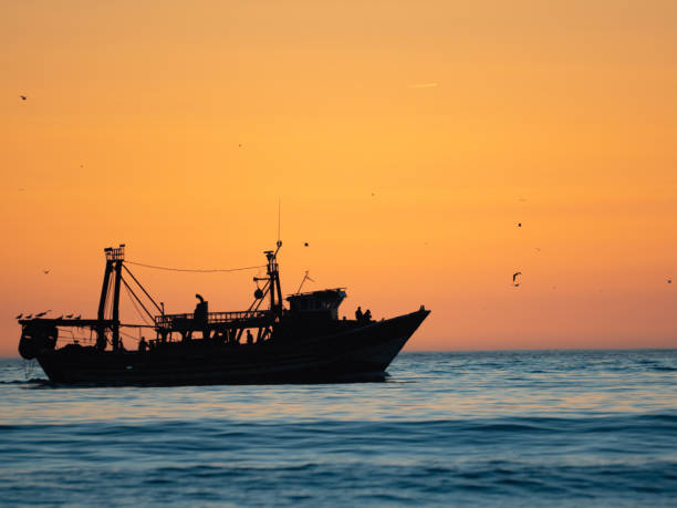 istock Fishing boat against the light 1081059076