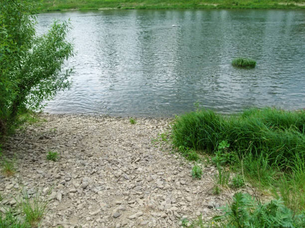 istock Beautiful river beach with pebbles on the mountain river Uzh 1081063114