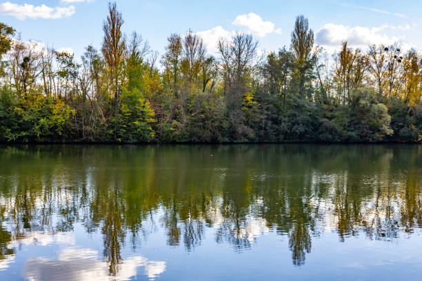 istock Tree at Oise river in Auvers-sur-Oise village 1081064094