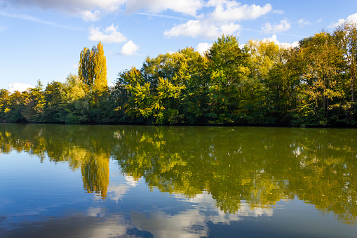 Reflections of trees in autumn in the lake