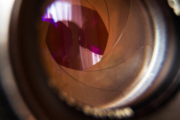 istock The petals of the diaphragm macro 1081075246