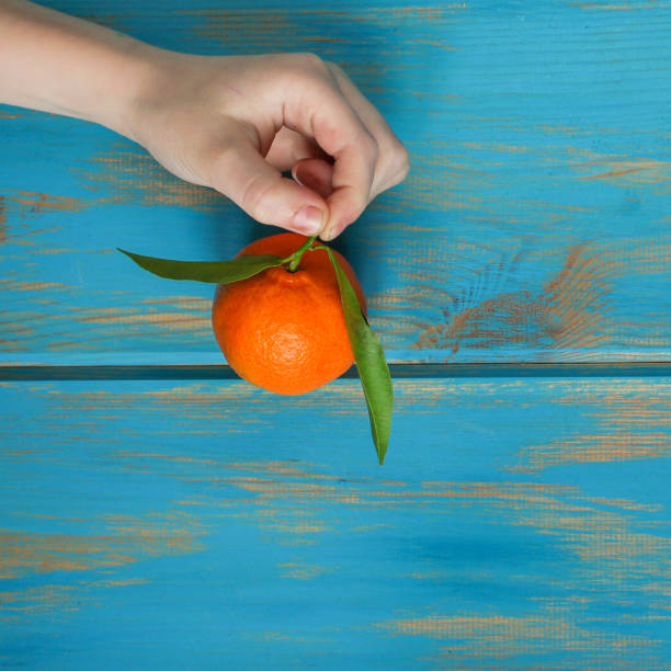 istock tangerines are a fresh, juicy citrus. Top  view. copy space 1081079464
