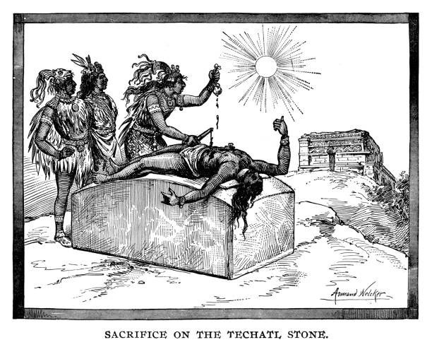 ilustraciones, imágenes clip art, dibujos animados e iconos de stock de sacrificio en la piedra de techatl - dibujos de aztecas