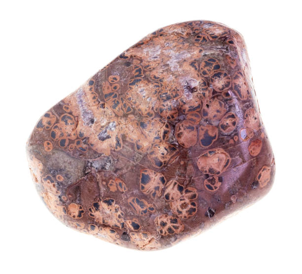 istock tumbled leopard skin jasper gem on white 1081085194