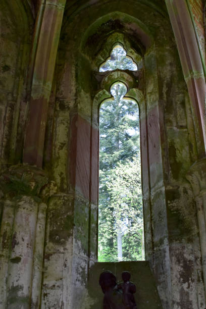 istock Ruins of All Saints' Abbey 1081090386