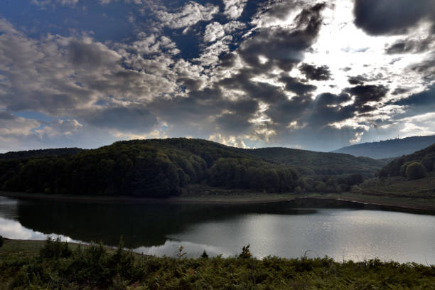 istock Summer landscape with a lake 1081093614