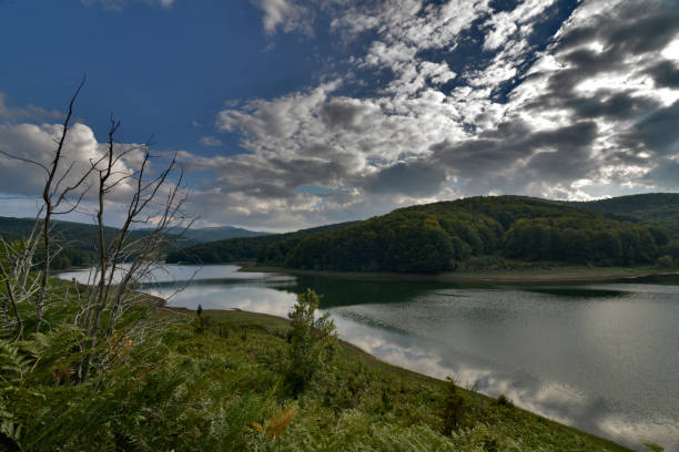 istock Summer landscape with a lake 1081093630
