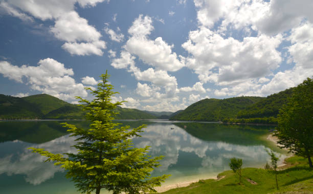 istock Summer landscape with a lake 1081093814