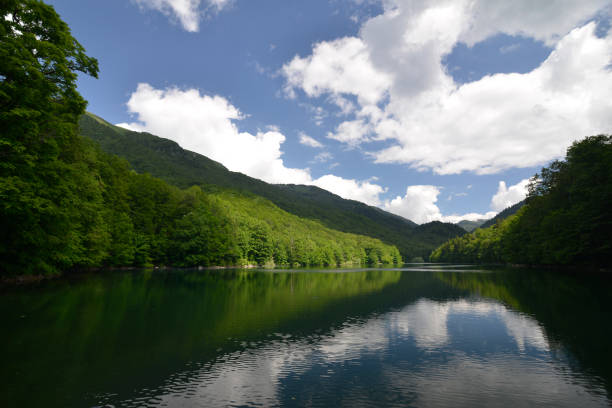 istock Summer landscape with a lake 1081093842