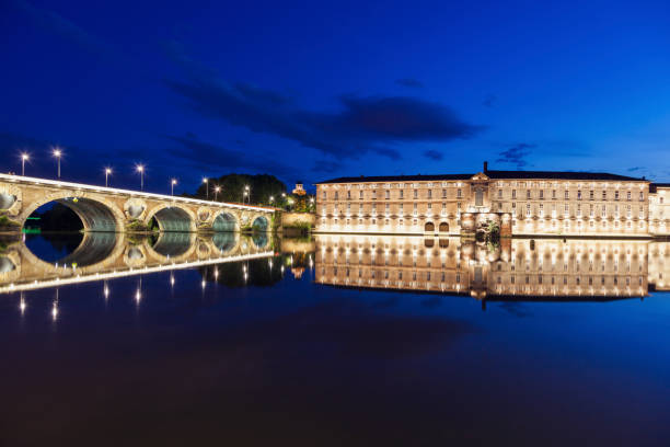 istock Pont-Neuf in Toulouse 1081095268