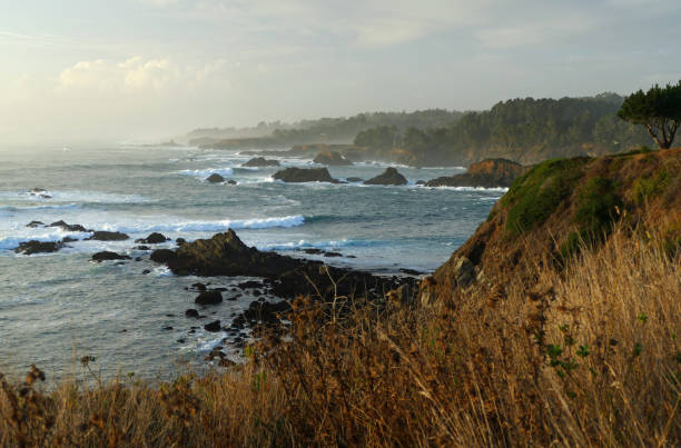 istock MENDOCINO HEADLANDS OCEAN WAVES 1081106380