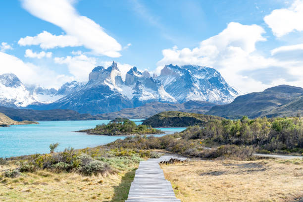 istock Torres del Paine National Park 1081110434