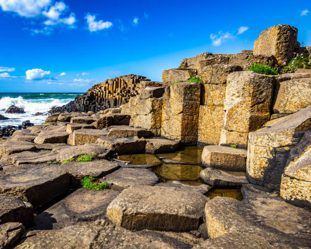 Giant's Causeway in Northern Ireland Giant's Causeway in Northern Ireland on a clear day giants causeway stock pictures, royalty-free photos & images