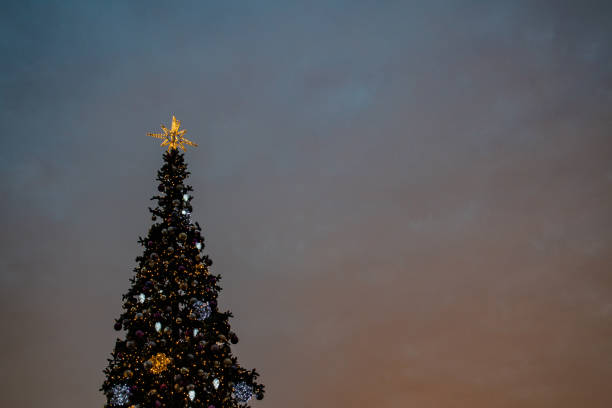 istock Christmas tree against the background of the evening sky 1081122282