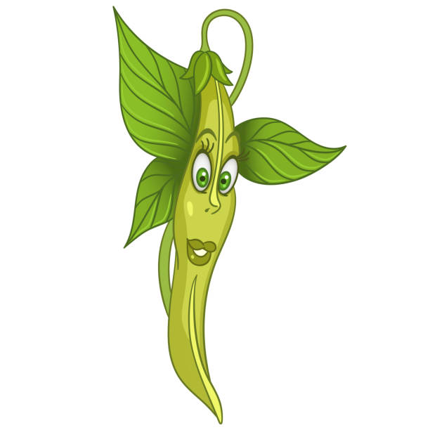 Cartoon Green Bean Or Soybean Stock Illustration - Download Image Now -  Green Pea, Humor, Agriculture - iStock