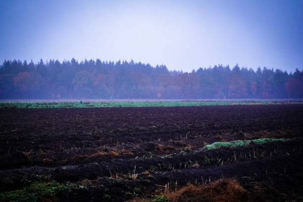 istock Field in fog in Germany at November 1081131376