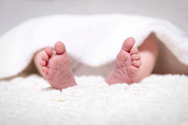 istock Newborn baby feet on a white blanket 1081132094