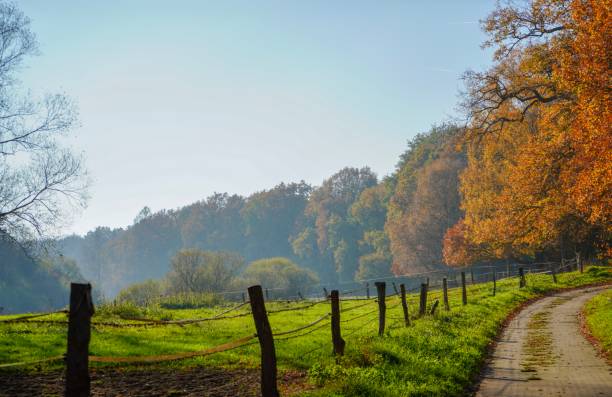 Picture shows an road next to a field in an wonderful sunny day.
