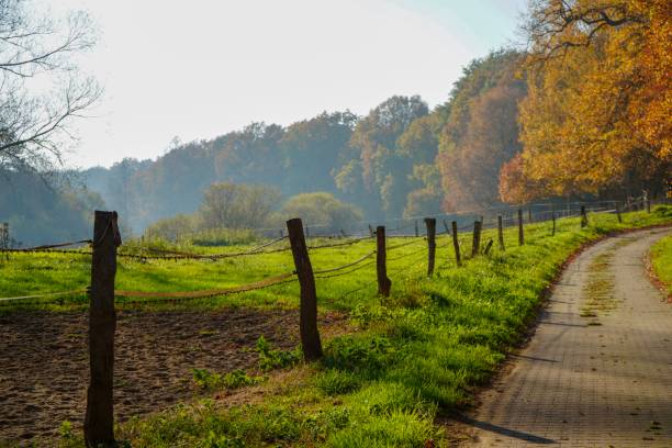istock Road next to a field in an wonderful sunny day 1081136464