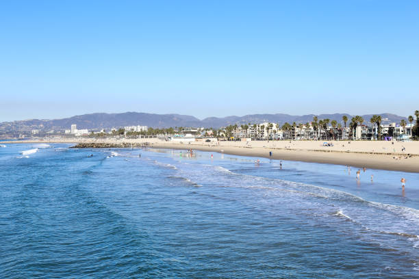 istock sunny day at Venice beach, California 1081143504