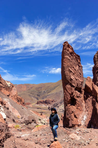 istock Tourist enjoying the Chilean landscape. 1081144564