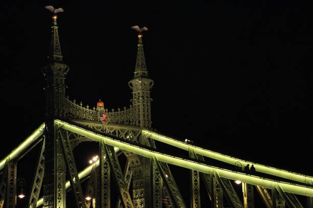hungary - budapest - freedom bridge - detail
