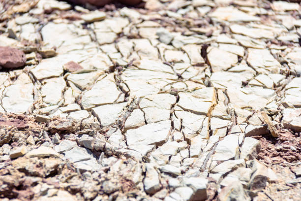 Taken by Canon 60D during a trip at Atacama desert with my love.