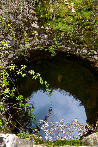 istock Water Well, With Walls Covered By Vegetation 1081146932