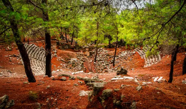 Cadianda, Kadyanda, Theater, Ancient, Ancient city, Red Pine, Nature, Building, History, Archaeology, Fethiye, Mugla, Turkey, Mystical forest, Forest,