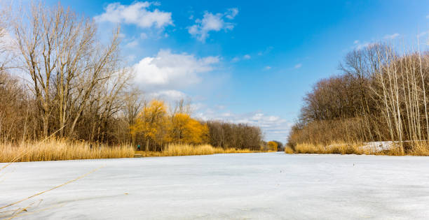 istock Angrignon Park  Montreal, Quebec, Canada. 1081159374
