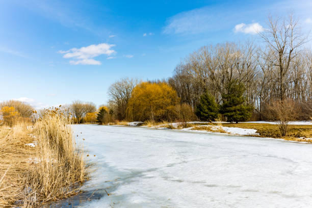 The frozen lake in Angrignon Park  Montreal, Quebec, Canada.