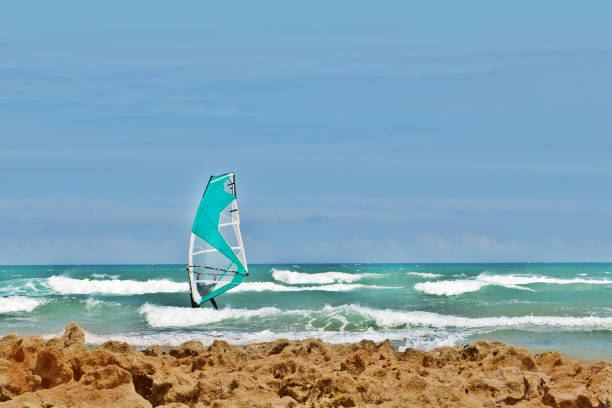 istock The windsurfer with a sail and coast among waves 1081179334