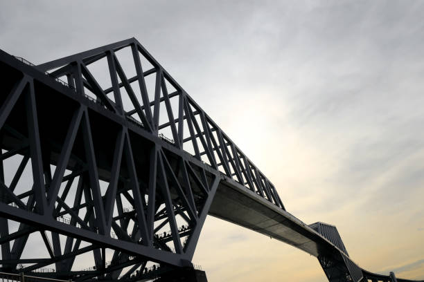 istock Unified Tokyo Gate Bridge with cool colors 1081181864