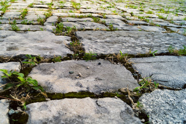 istock The old road of large stone slabs. 1081182050