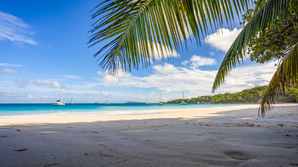 istock Catamarans at anse lazio on the seychelles 25 1081193282