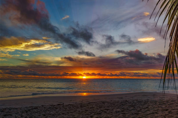 istock looking through palm leaf at sunset at anse georgette,praslin,seychelles 22 1081198540