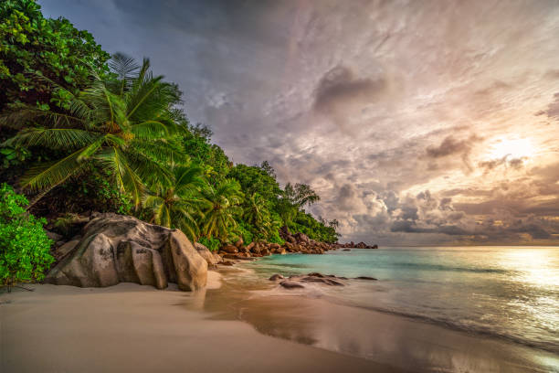 istock paradise beach at anse georgette, praslin, seychelles 13 1081199860