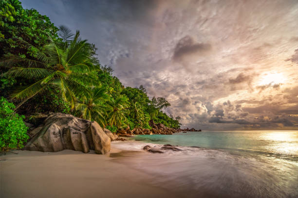 istock paradise beach at anse georgette, praslin, seychelles 15 1081199898
