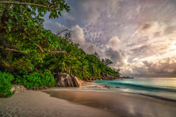 istock paradise beach at anse georgette, praslin, seychelles 21 1081199990