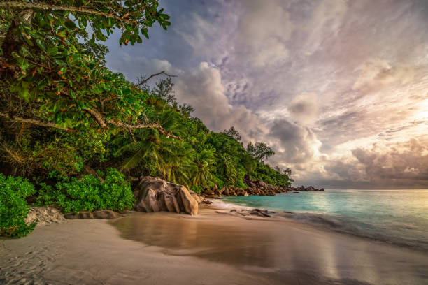 istock paradise beach at anse georgette, praslin, seychelles 23 1081200054