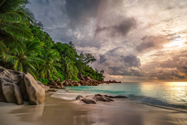 istock paradise beach at anse georgette, praslin, seychelles 9 1081201424
