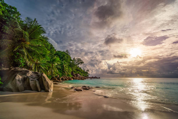 istock paradise beach at anse georgette, praslin, seychelles 16 1081201846