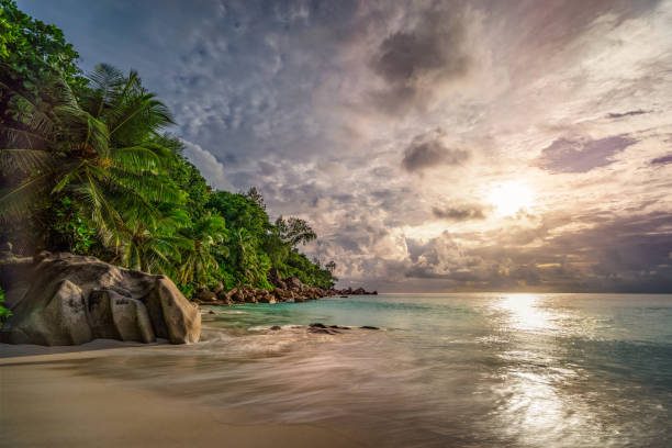 istock paradise beach at anse georgette, praslin, seychelles 18 1081201922