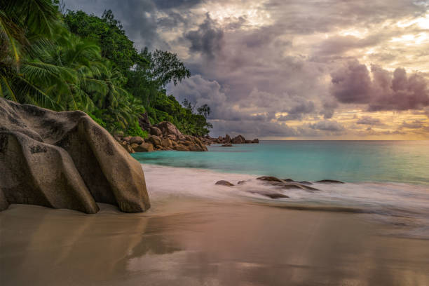 istock paradise beach at anse georgette, praslin, seychelles 2 1081201950