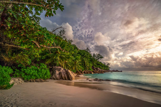 istock paradise beach at anse georgette, praslin, seychelles 20 1081202012